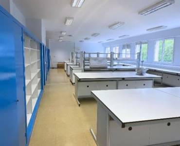 ¡Proyecto completado con éxito!